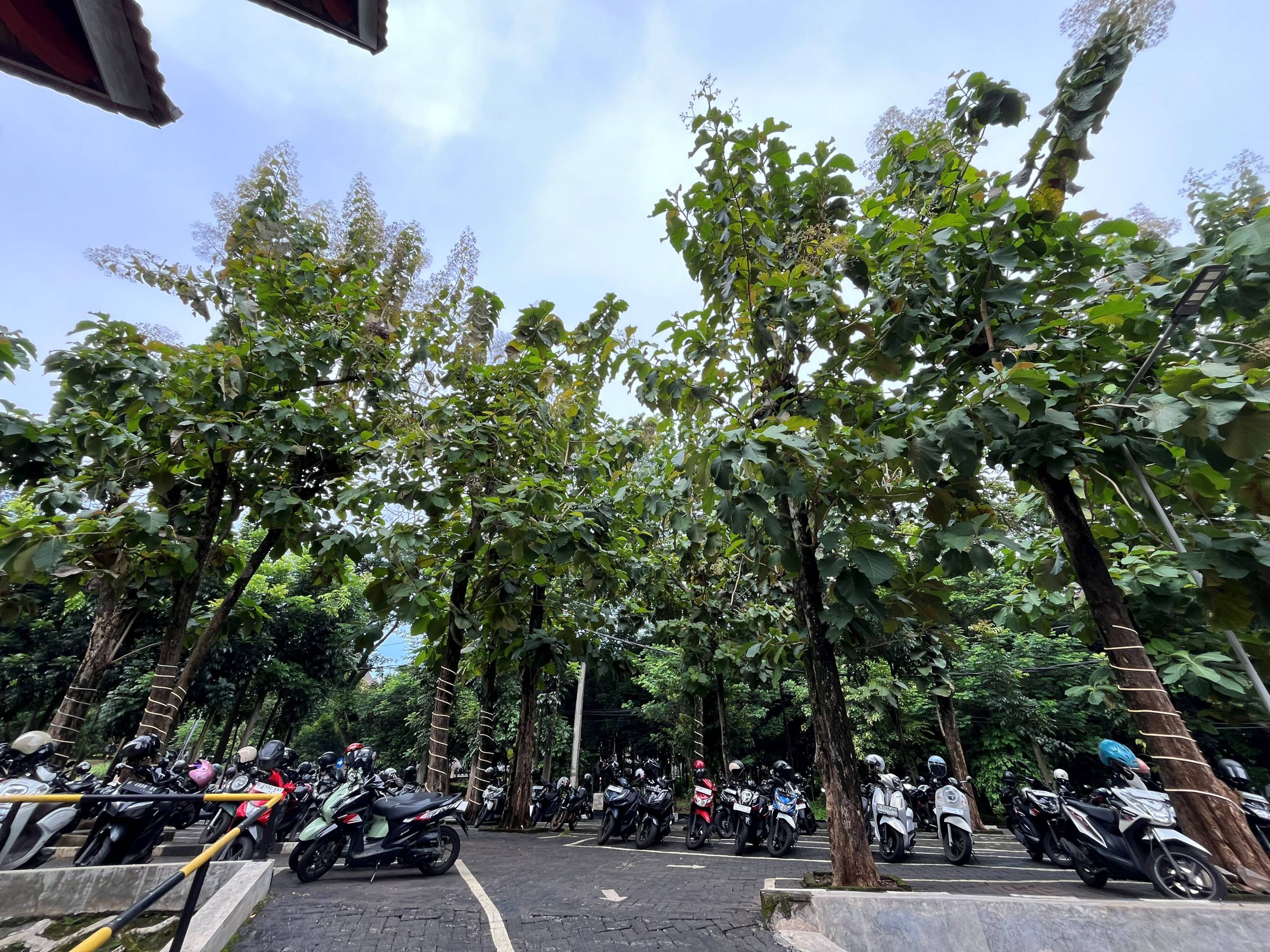 Parkiran belakang gedung E 2 Fix